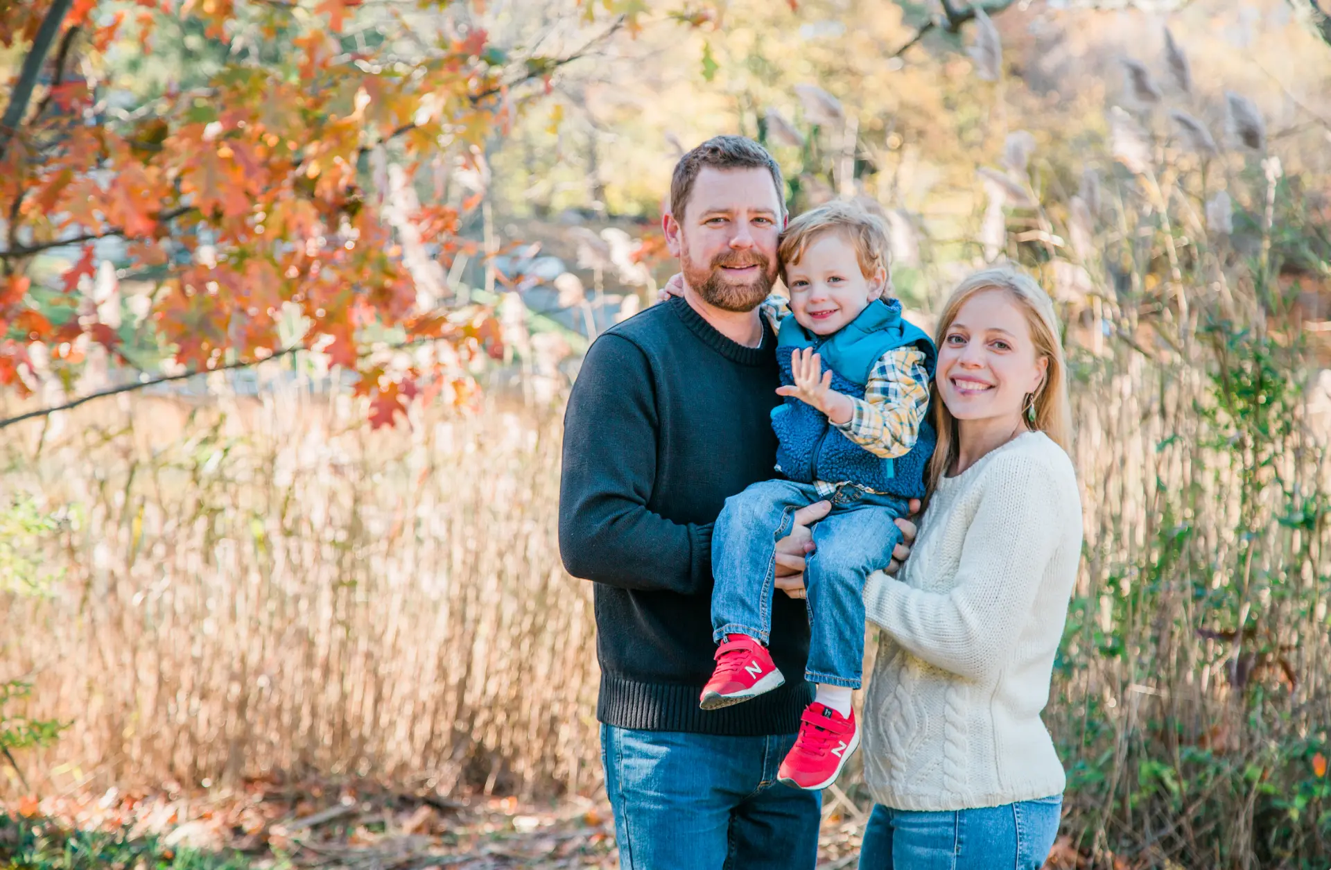 Parents holding their toddler son among golden autumn reeds